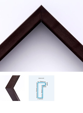 ECO FRAME MX 20.jpg