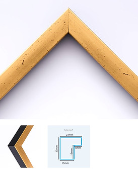 ECO FRAME MX 15.jpg