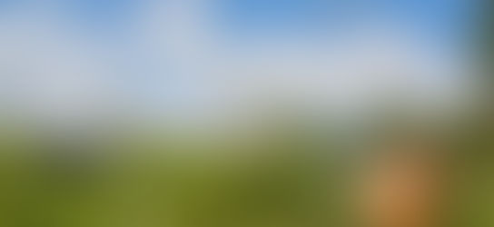 Volunteer Sign Up - June 8 & 9 WI S3DA Shoot