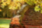 autumn garden