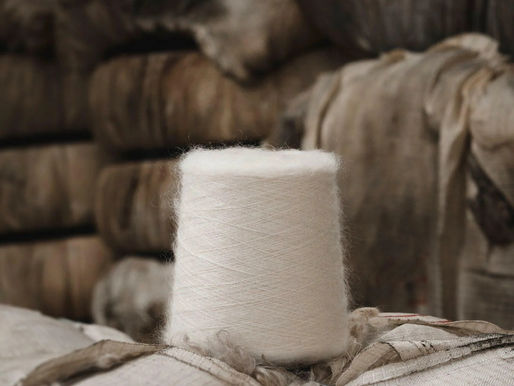 The Origins and Collection Process of Mohair