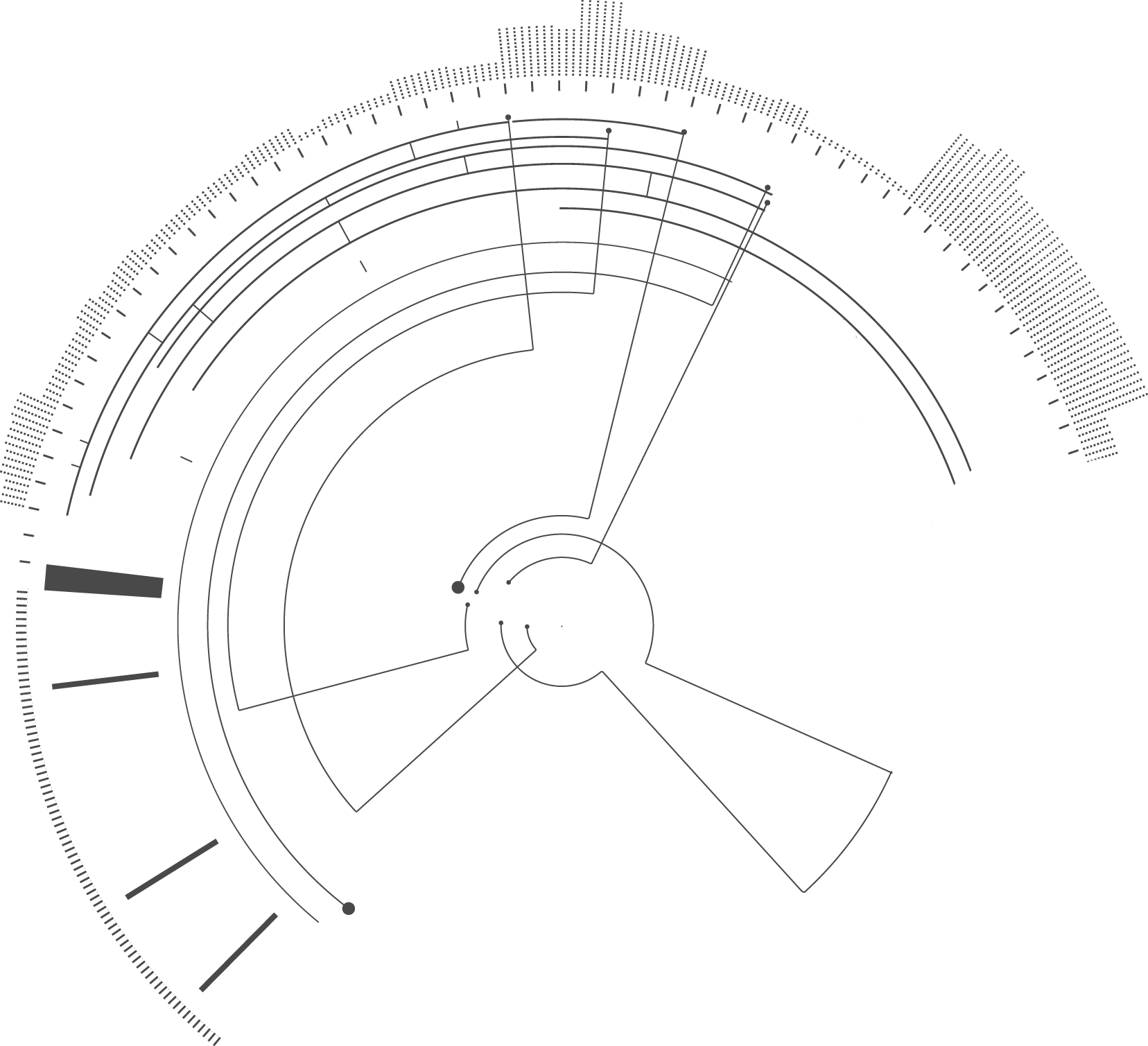 compass-reflected_edited.png