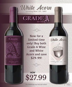 Double Wine Poster Photoshop, Illustrator and InDesign 2_21_22