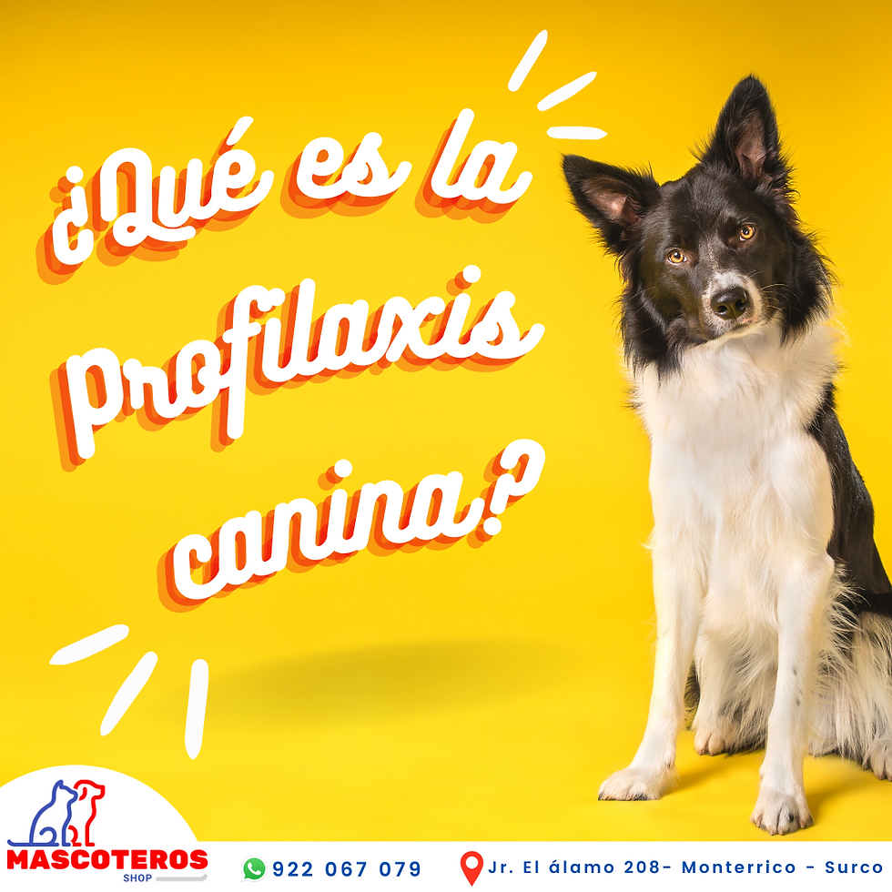 Profilaxis_Mascoteros