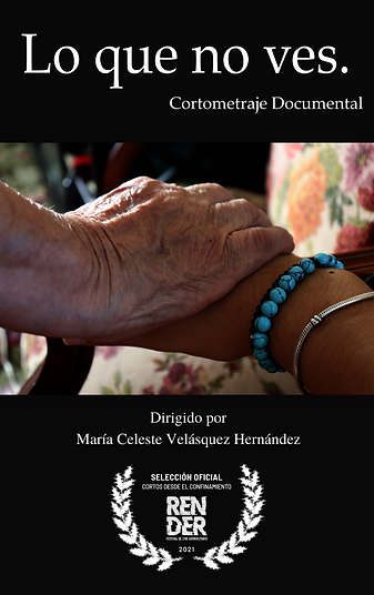 Lo que no ves._María Celeste Velásquez