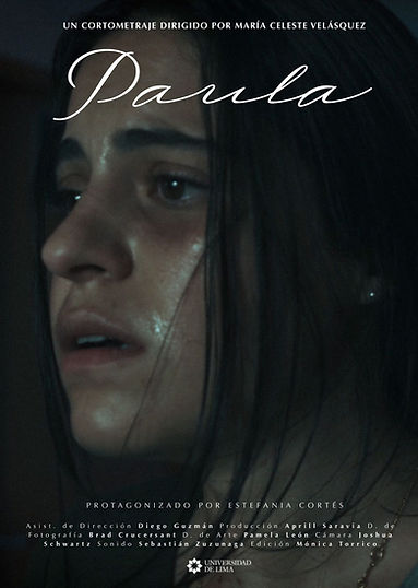 FLYER PAULA.jpeg