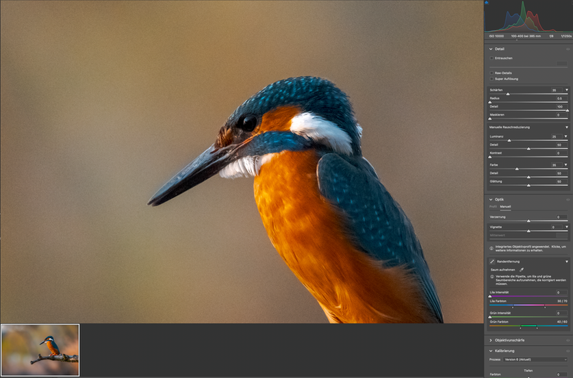 Eisvogel mit ISO 10000