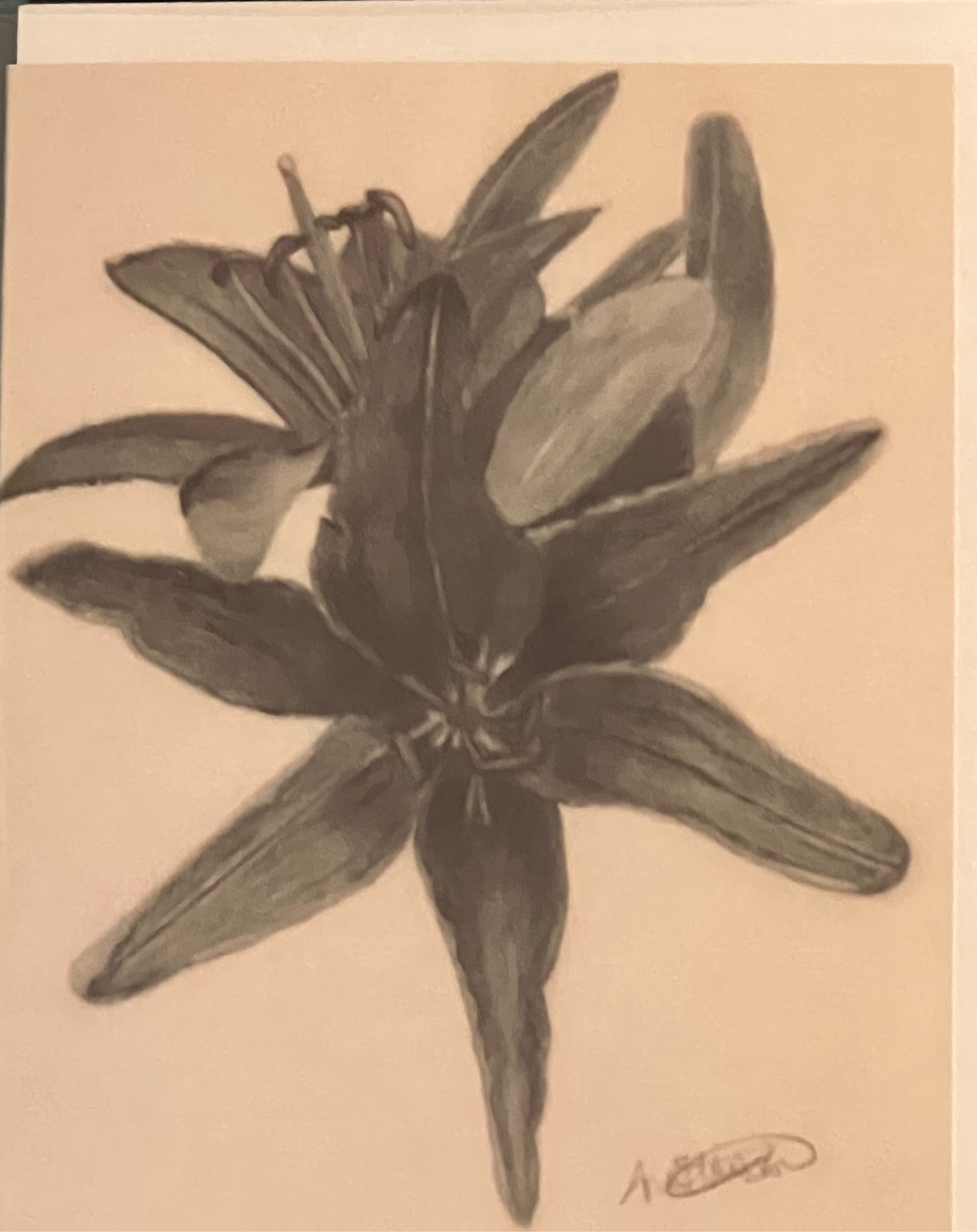 Study in Black Notecard