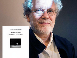 Ateşböceklerinin Ortadan Kayboluşu