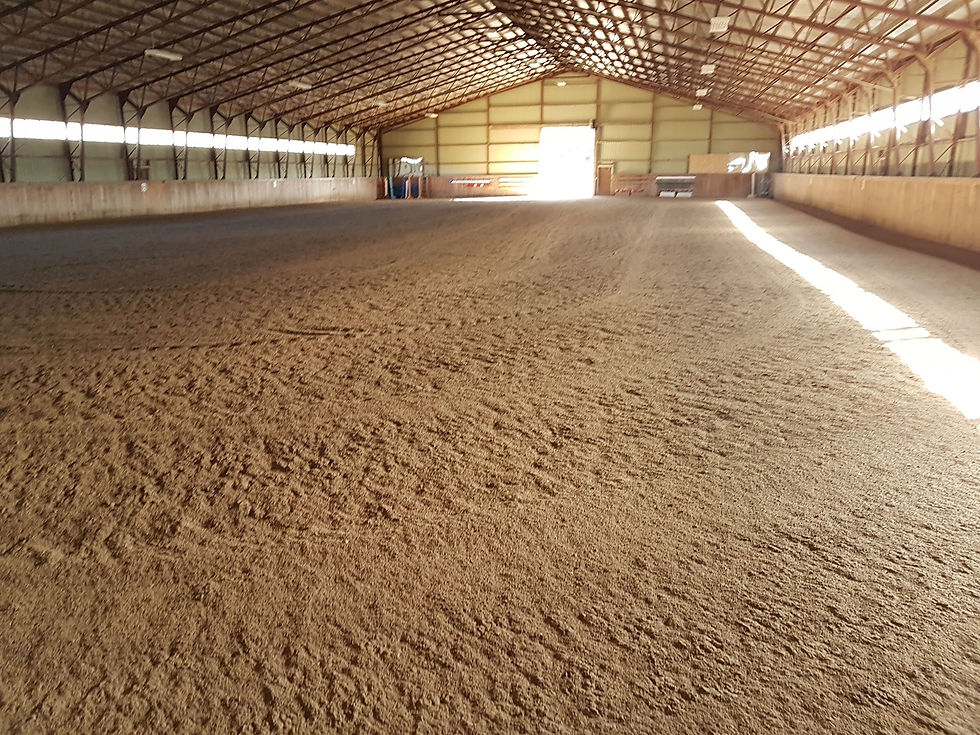 100x200 Indoor Arena