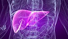 liver toxicity.jpg