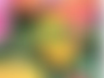 진안동아로마마사지 뜻밖에결과