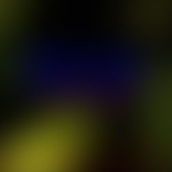 파주시 월롱면마사지 월롱면스웨디시 원한다면