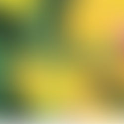 김포동스웨디시 관심을갖고