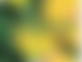 김포동스웨디시 관심을갖고