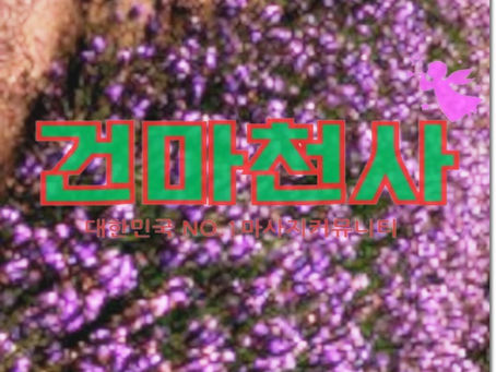 신서동스파 고민이