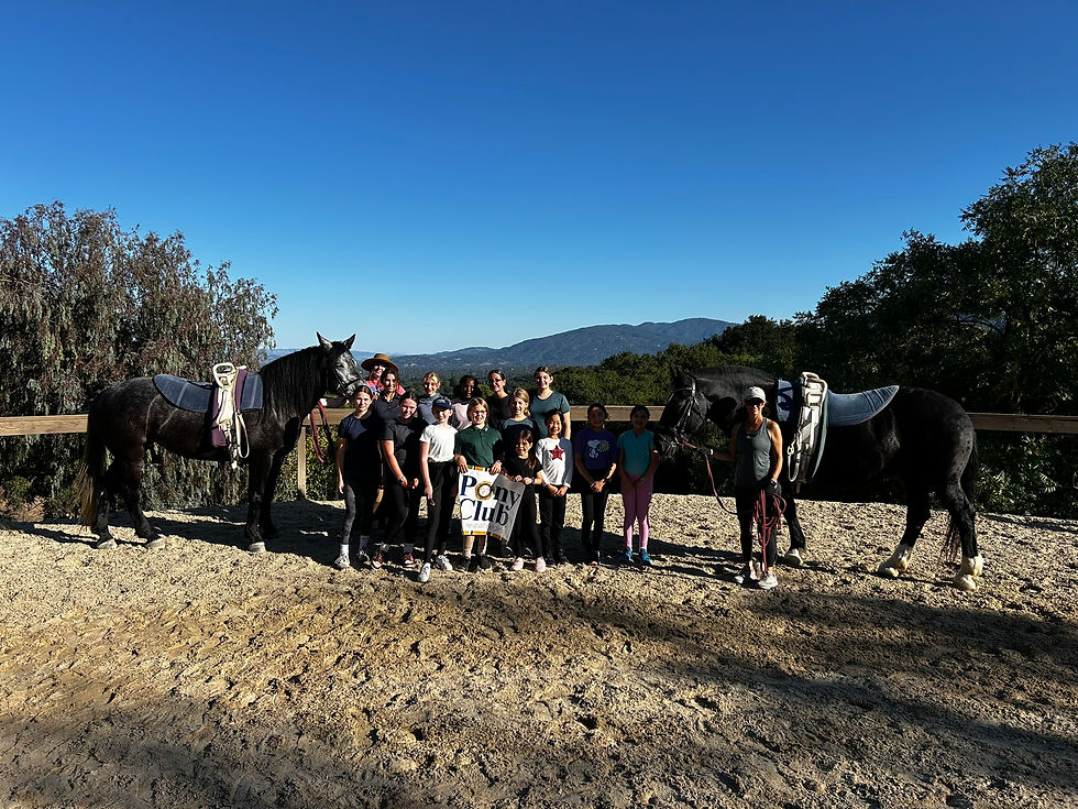 Vaulting at Garrod Farms