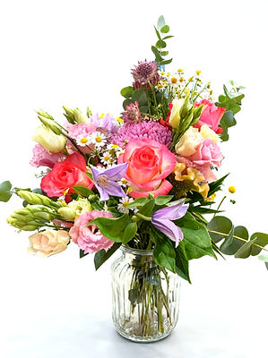 a november nolvel_edited.jpg