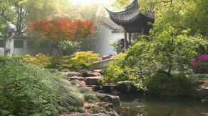 4 Key Elements to Designing A Chinese Garden