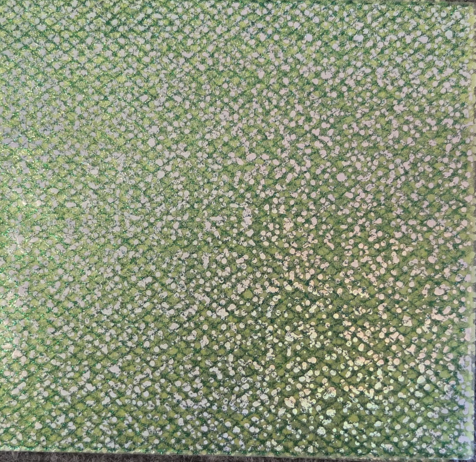 Silicone Split Tail-Green Silver Prism