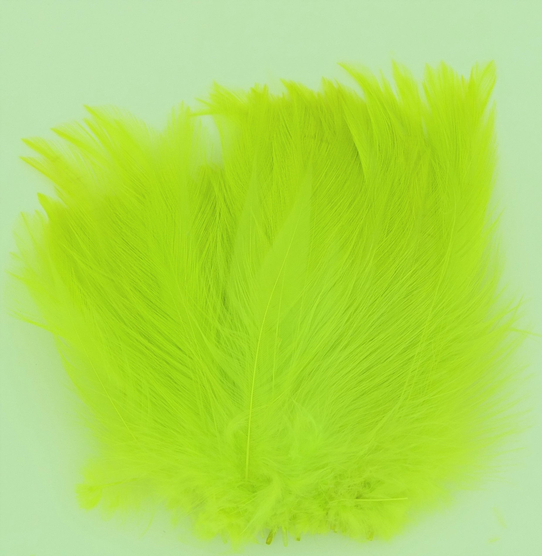 Radiation-Custom Neck Hackle   4-6"