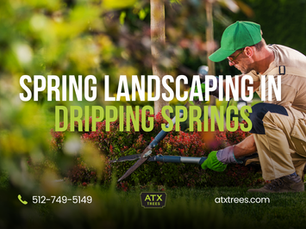 Spring Landscaping in Dripping Springs: Refresh Your Outdoor Space for 2026