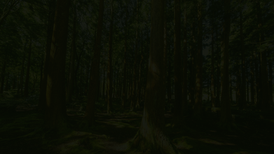 ATX Trees - Why Choose Us - Background.png