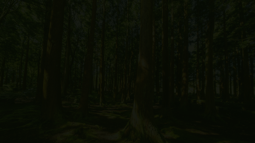 ATX Trees - Why Choose Us - Background.png