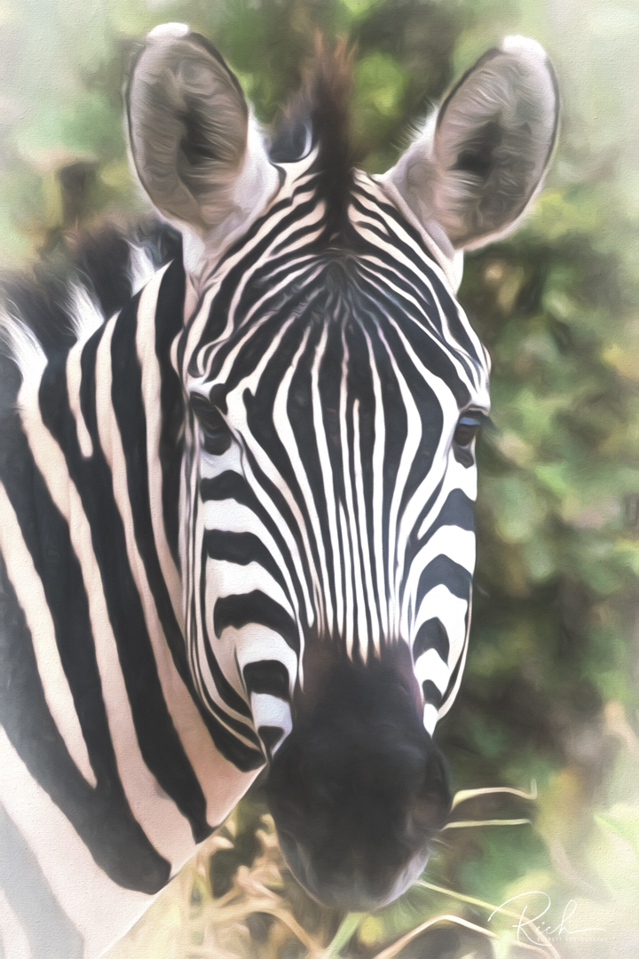 Tanzania-364-richberrett