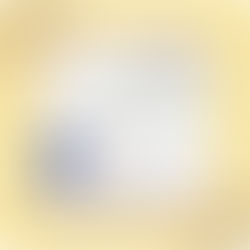 CWRDD Â'R PANEL / MEET THE PANEL - Y GYFRAITH YNG NGHYMRU / LAW IN WALES