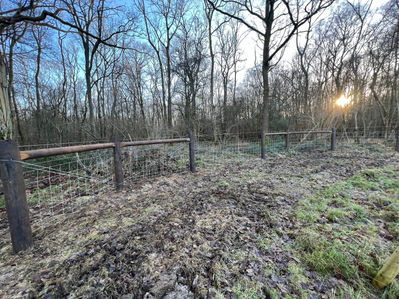 Stock fencing