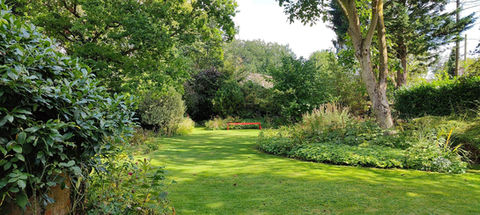 Landscaped garden