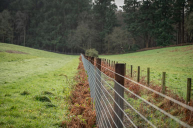 Horse netting on a farm
