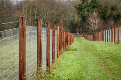 Scenic view of horse netting