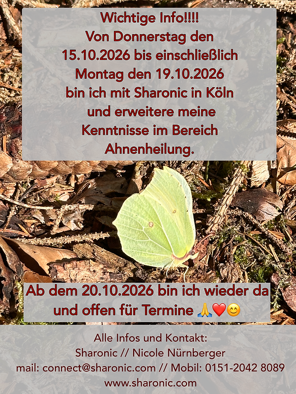 Weiterbildung.PNG