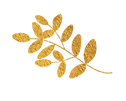 feuille doree.png