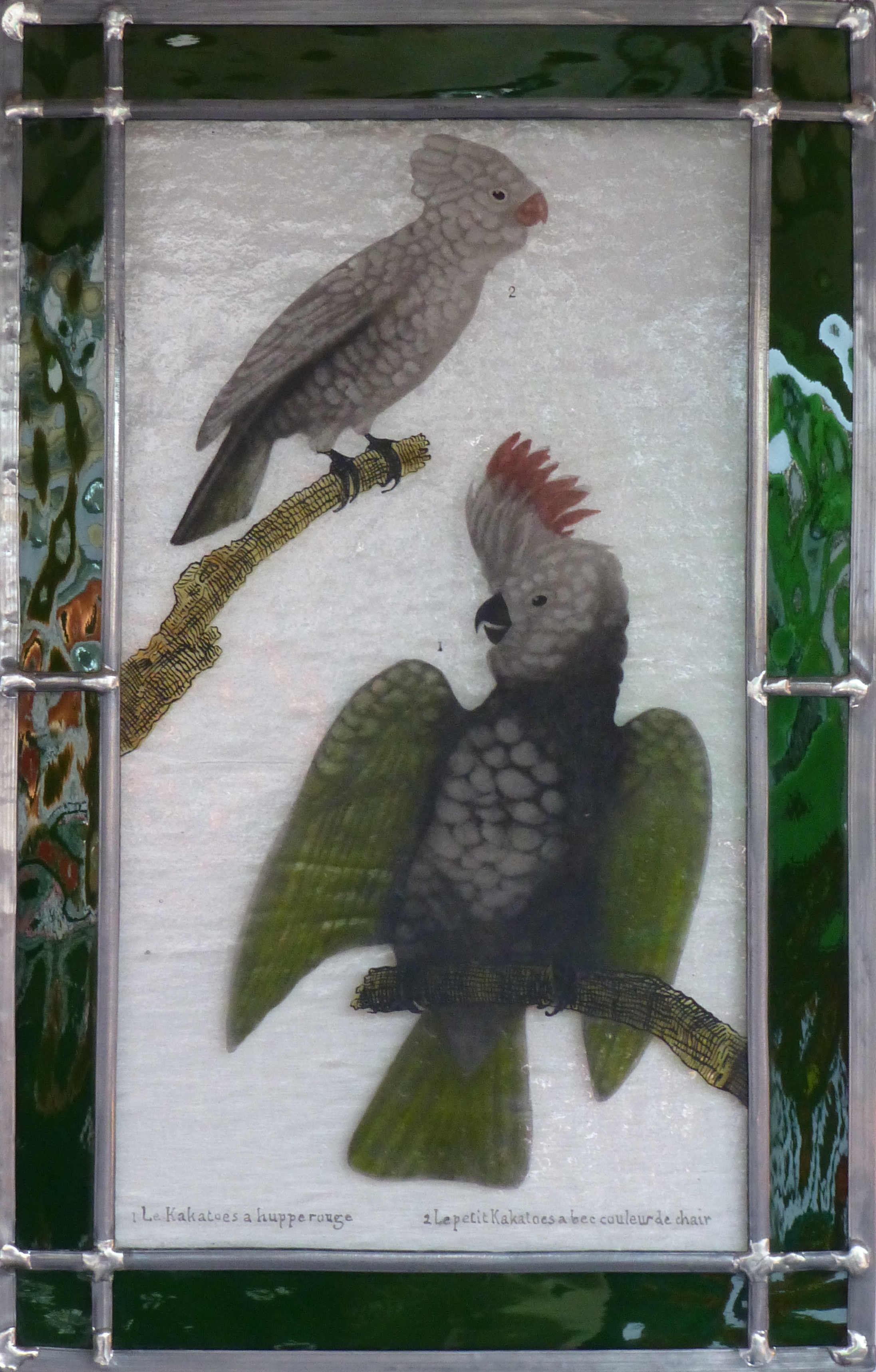 Vitrail Perroquets