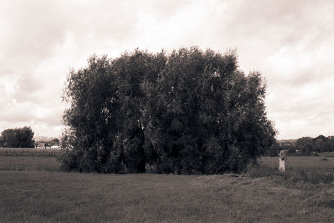 ON FILM: black & white