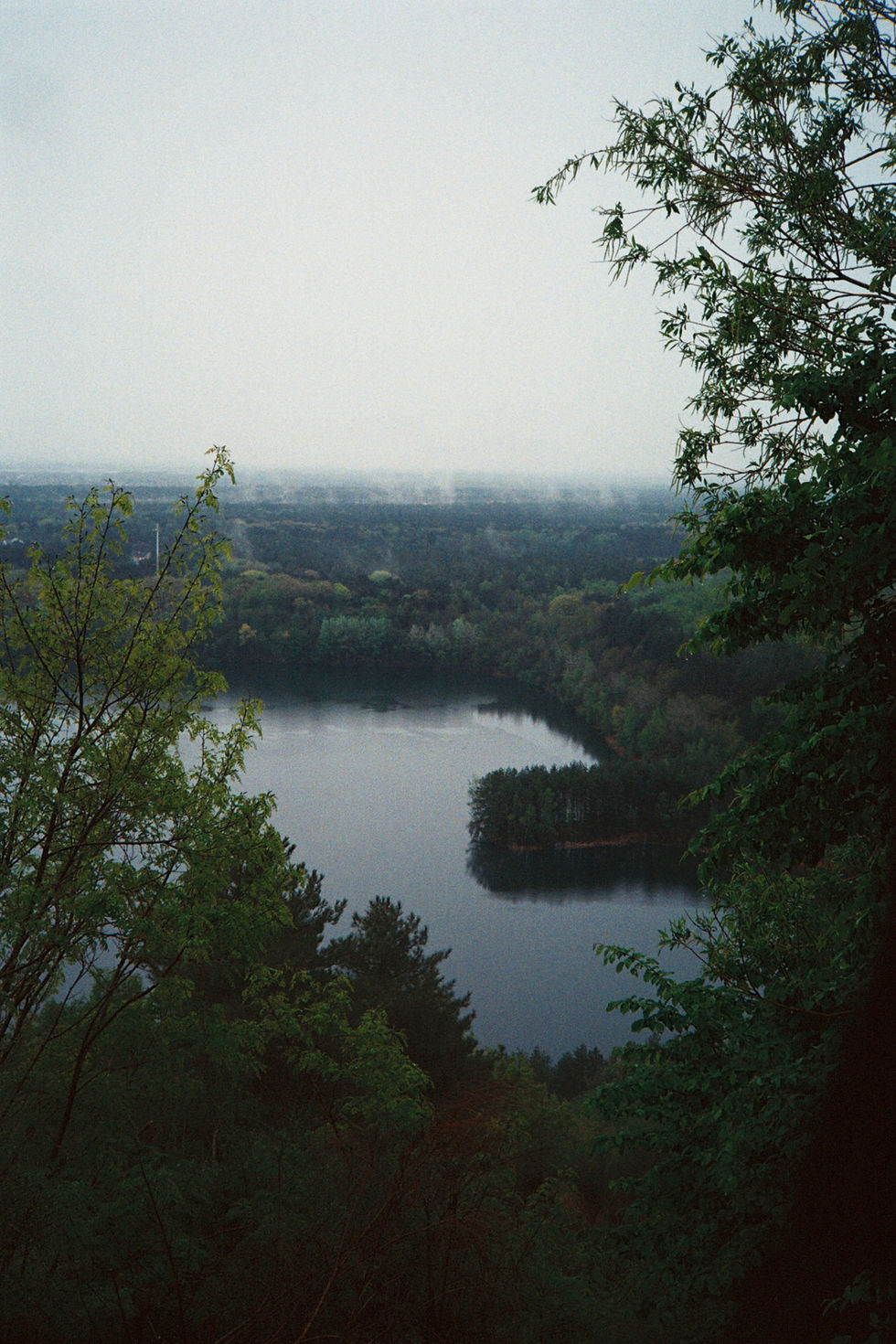 landscapes-1.jpg