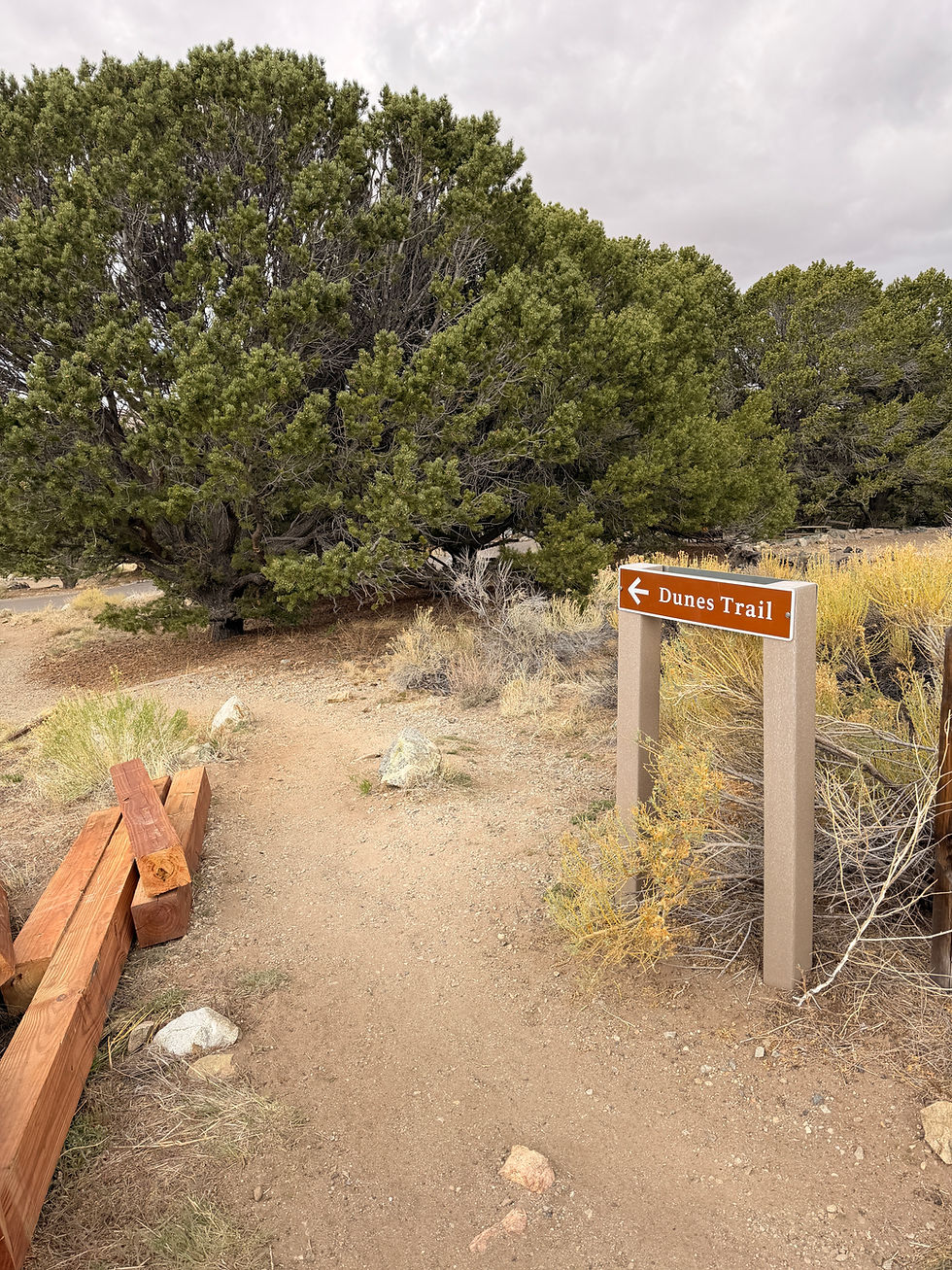 Trail sign in Sand Dunes National Park "Dunes Trail"