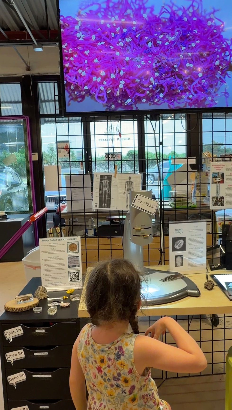 Kid looking at microscope at science museum