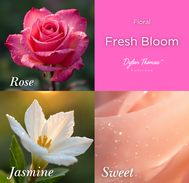 Fresh Bloom – Dylan Thomas Luxury Collection | Rose, jasmine, and sweet fragrance notes visual guide