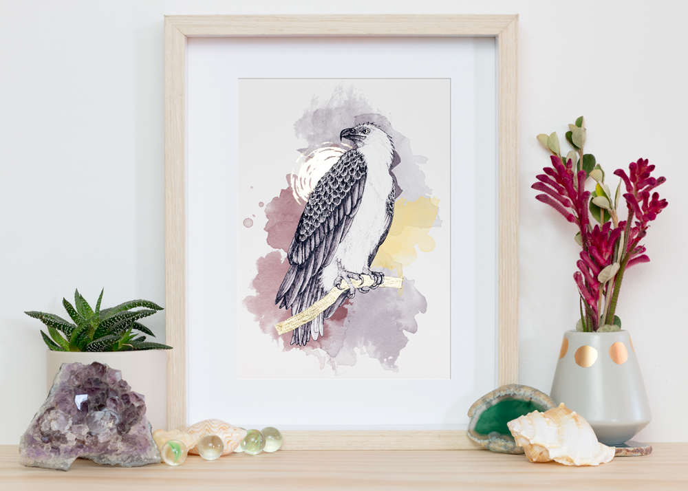 White Bellied Sea Eagle Print