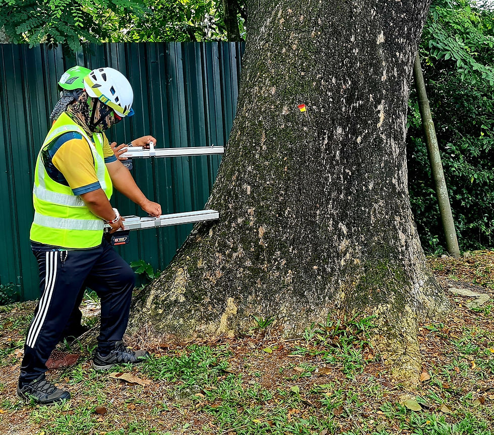 285551696_1074161006524123_6806117338534705802_n - Copy