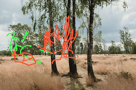 Ana Mihalić, NONA, fotografski crtež (3)