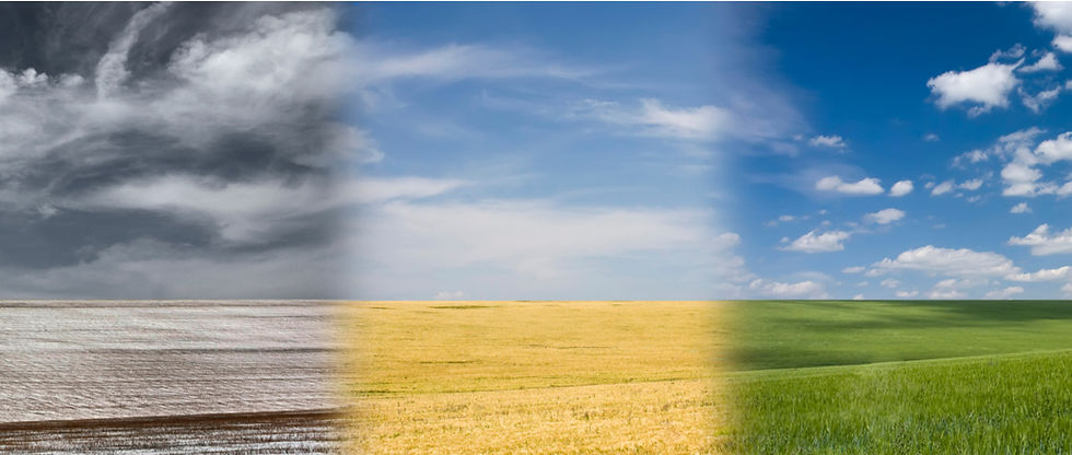 שדה בשלושה צבעים