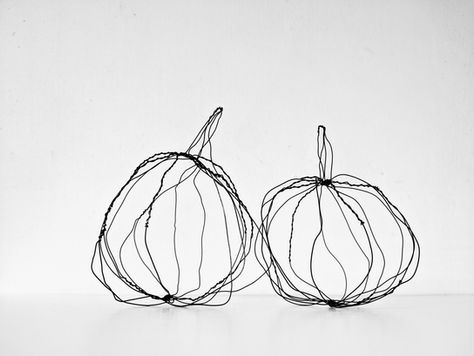 דלעת ערמונים 1.jpg