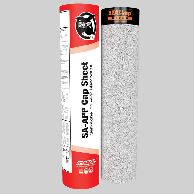 Thumbnail: Modified Bitumen System