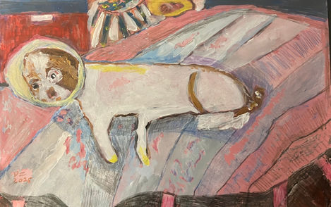 Zuccie - un peu malade