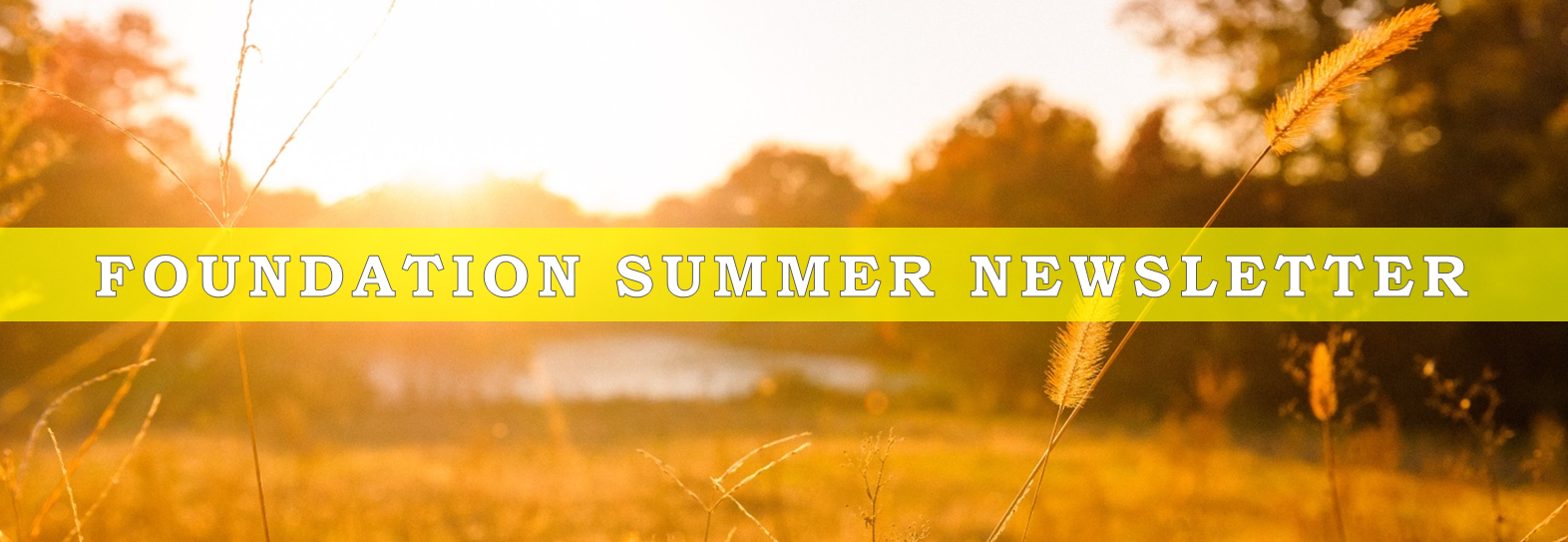 Sainte Marie Foundation